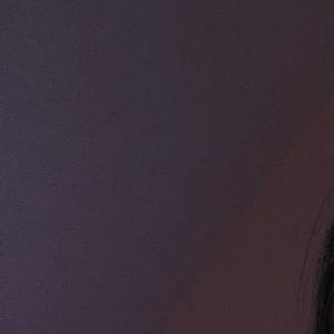 Meet your Posher, Hannia